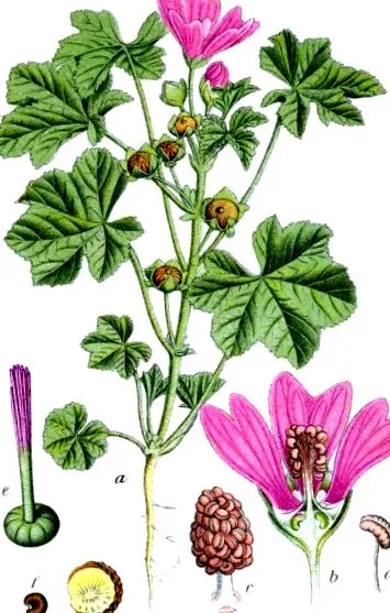 értékes