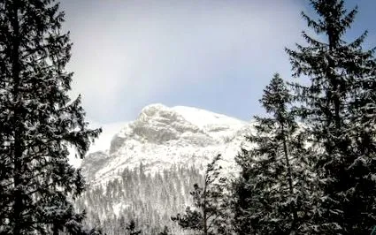 tirol iubitorii