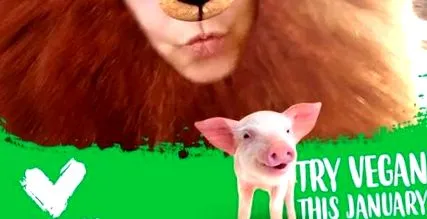 szólnál veganuary