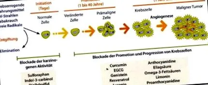 efectul ingredientelor