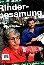 денес