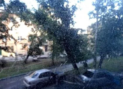 omsk