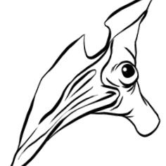 hivatalos