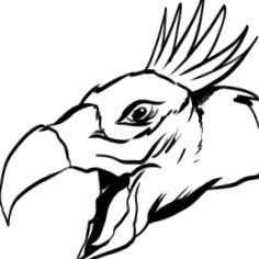 achatina