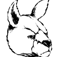 hivatalos