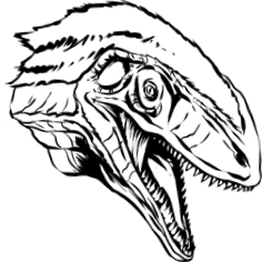 hivatalos