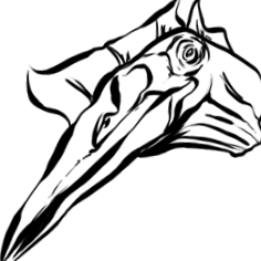 hivatalos
