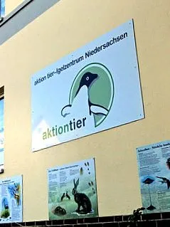 akcióállat