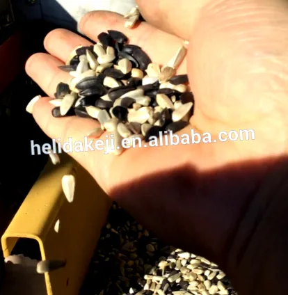 капацитет наут
