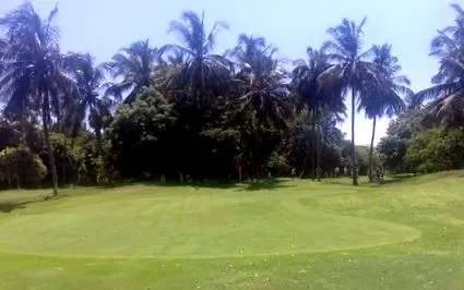 coconut