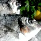 nutriție