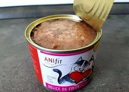 anifit svédországból