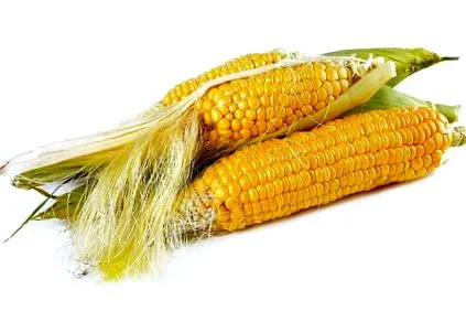 cereale porumb