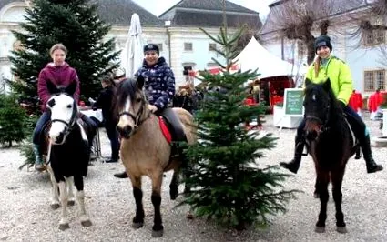 neusiedl