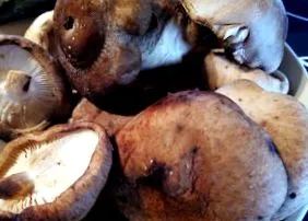shiitakes