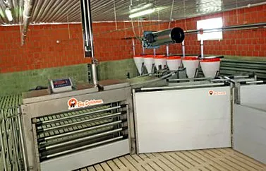 automatikus automatikus