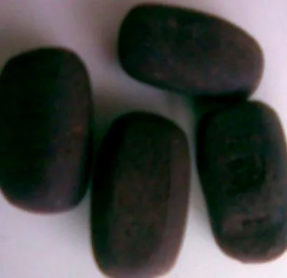 kalari