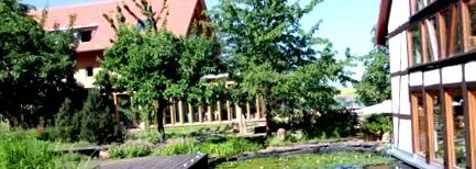 sănătate