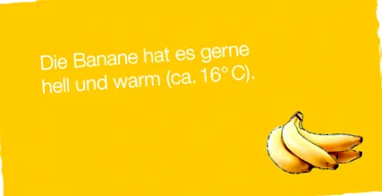 fogyasztás