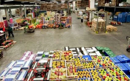 fruchtimport