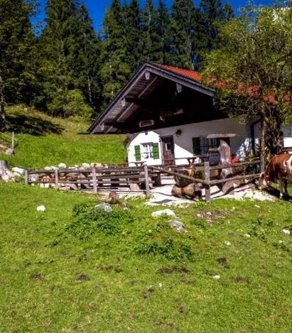 Alpenliebe Design
