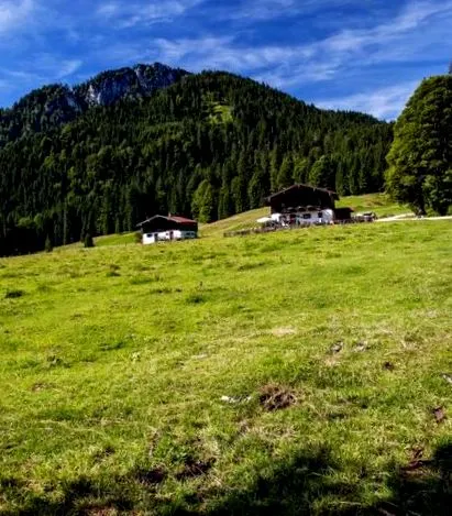 Alpenliebe Design
