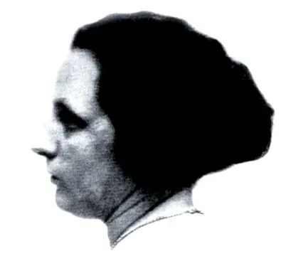multe