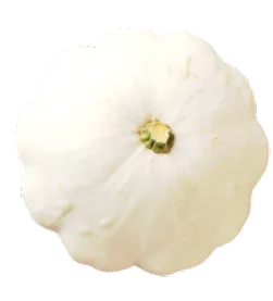 dovleac