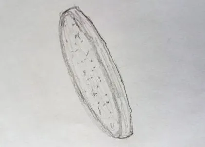 zemiaky