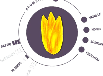 szárított