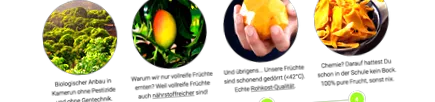 szárított