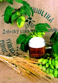 fabricării