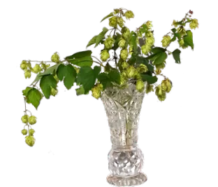 fabricării