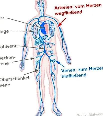 vénái
