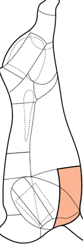 mellmag