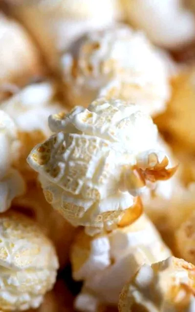 ciupercă popcorn
