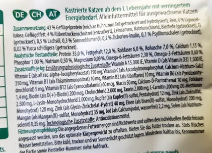macskák
