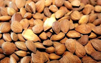 producători