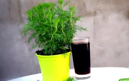 pripraviť