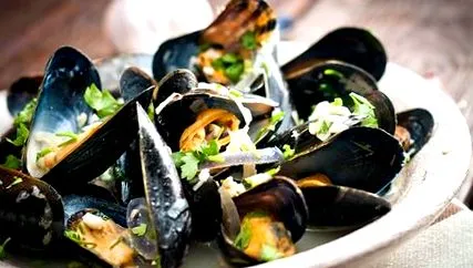 cozze