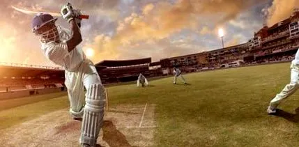 cricket