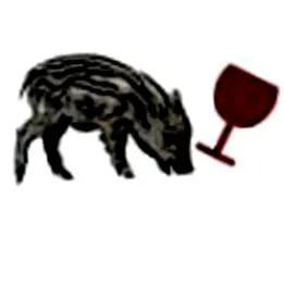 ciuperci