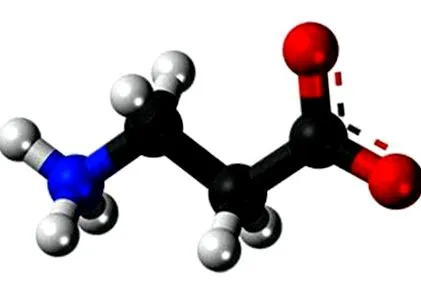 béta-alaninnal béta-alaninnal