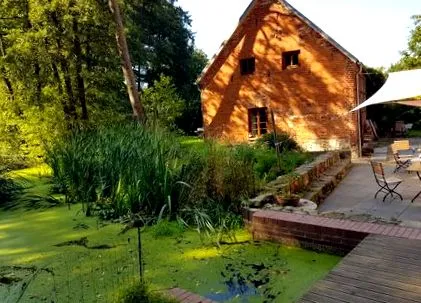 méregtelenítő
