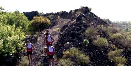 triatlon t3-on