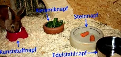 alimentar