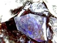 minerals