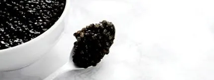 bőröd