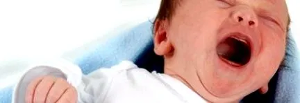 хора