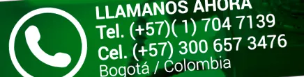 integrált